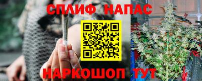 мдпв Новокубанск