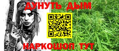 дмт Новодвинск
