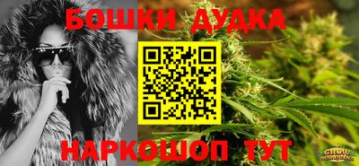 дмт Новодвинск