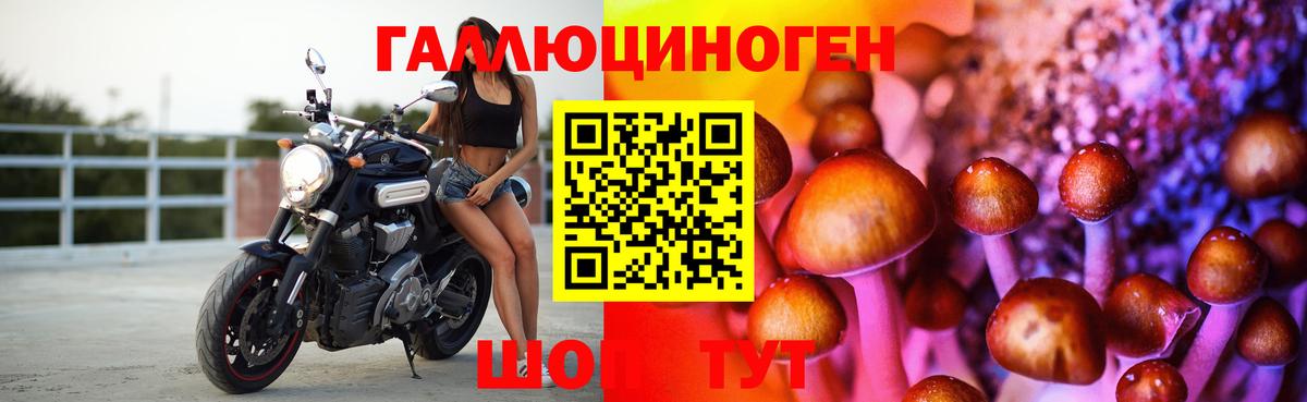 Галлюциногенные грибы Psilocybe  Галлюциногенные грибы Cubensis  Вход с VPN  наркошоп  Алапаевск 